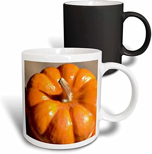 Керамична Чаша 3dRose Autumn Orange Тиква Зеленчуци Фотография за Деня На Благодарността, 11 Грама