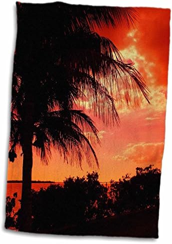 Кърпи 3dRose Florene Tropical Sunset - Scarlett Sunset (twl-7318-1)