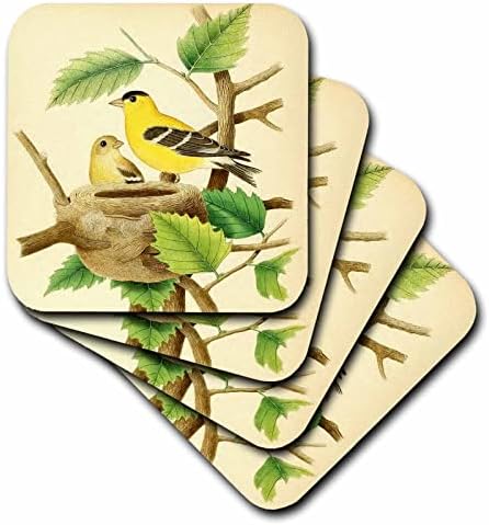 3dRose Ретро принт с изображение на птици Американски Щиглец Красиви жълти птици. - Влакчета (cst-364680-2)