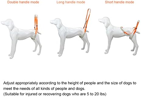 ASTTZN Стълбовете за задните лапи на Кучето Шлейка за подкрепа на задните лапи на Кучето Повдигаща Шлейка за задните