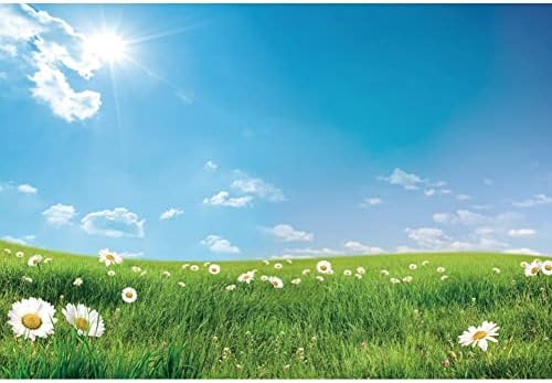 AWERT 15x10ft Пролетта Фон за Снимки през Пролетта на Цветя Поляна Слънчева Светлина, Синьото Небе, Природни Пейзажи