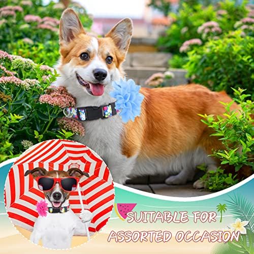 4 Опаковки Цветен Нашийник за кучета Цвете за Момиче, за Отстраняване на кучета, Цветя, Регулируеми Найлонови Врати за